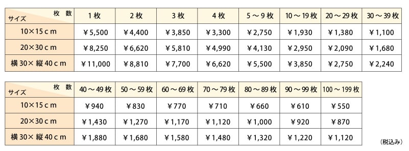 19濃色ダイレクトプリント代